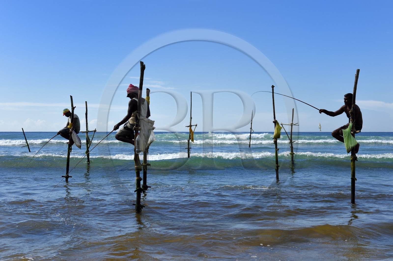 Sri Lanka, Province du Sud, région de Galle, plage de Midigama, pecheurs sur poteaux Sri Lanka, Province du Sud, région de Galle, plage de Midigama, pecheurs sur poteaux