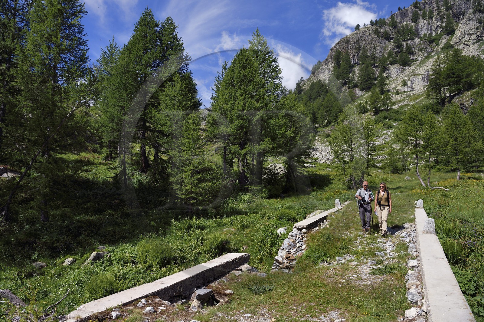 France, Alpes-Maritimes (06), parc national du Mercantour, vallée de la Valmasque, ancienne piste construite par les italiens sous Mussolini, pont qui franchit le torrent de la Valmasque