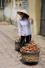 Vietnam, Hanoï, vieille ville, marchande de fruits (lychee) avec sa palanche