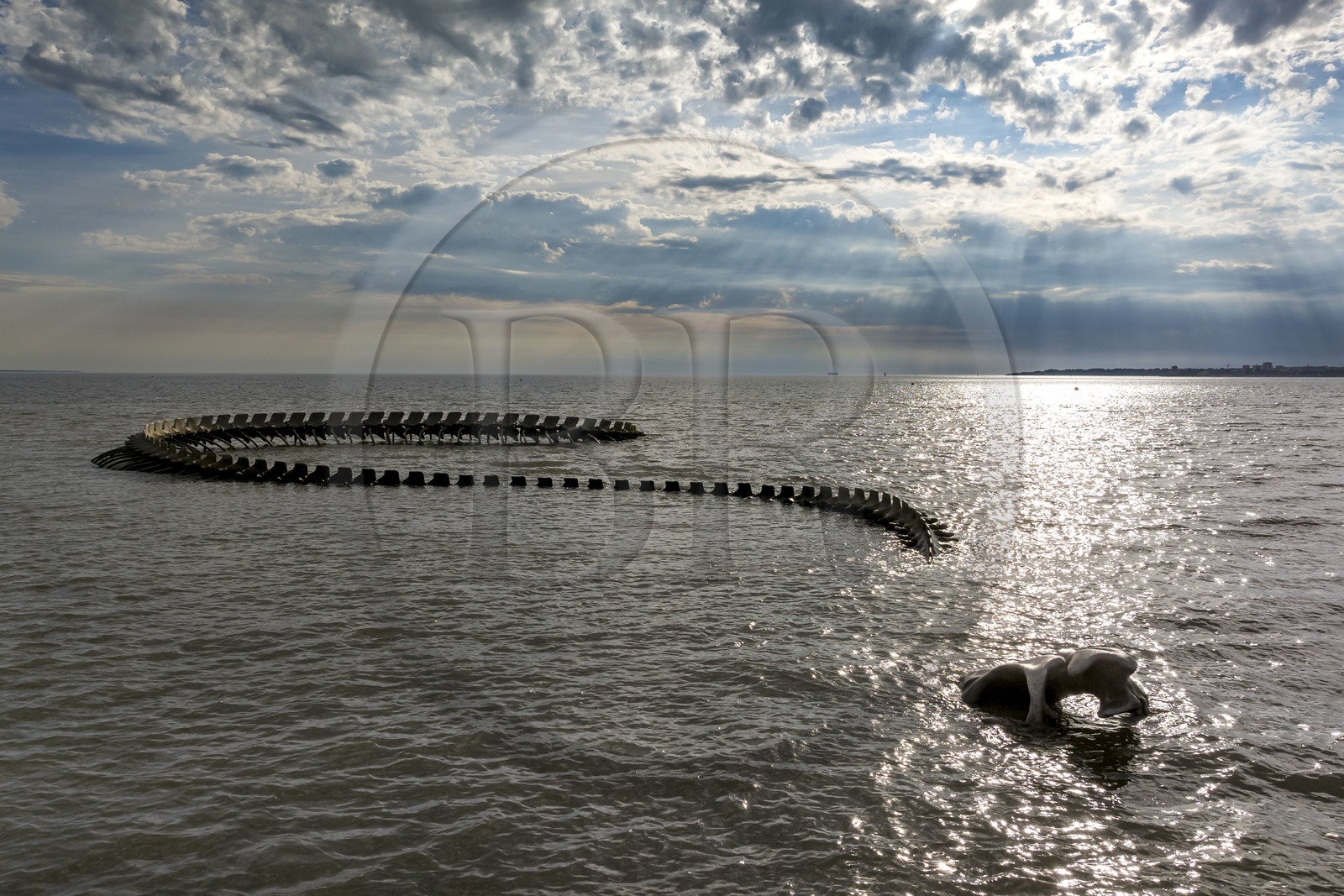 France, Loire Atlantique, Saint-Brevin-les-Pins, Mindin, Estuaire (Estuary) open-air contemporary art collection, the Ocean Serpent created by the Chinese artist Huang Yong Ping representing a long skeleton of a sea serpent, installed on the 'foreshore and appearing to the rhythm of the tides  (aerial view)