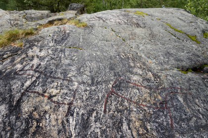 Sweden, Vasterbotten County, Umea, rock carvings in Norrfors from 2000-3000 B.C.
