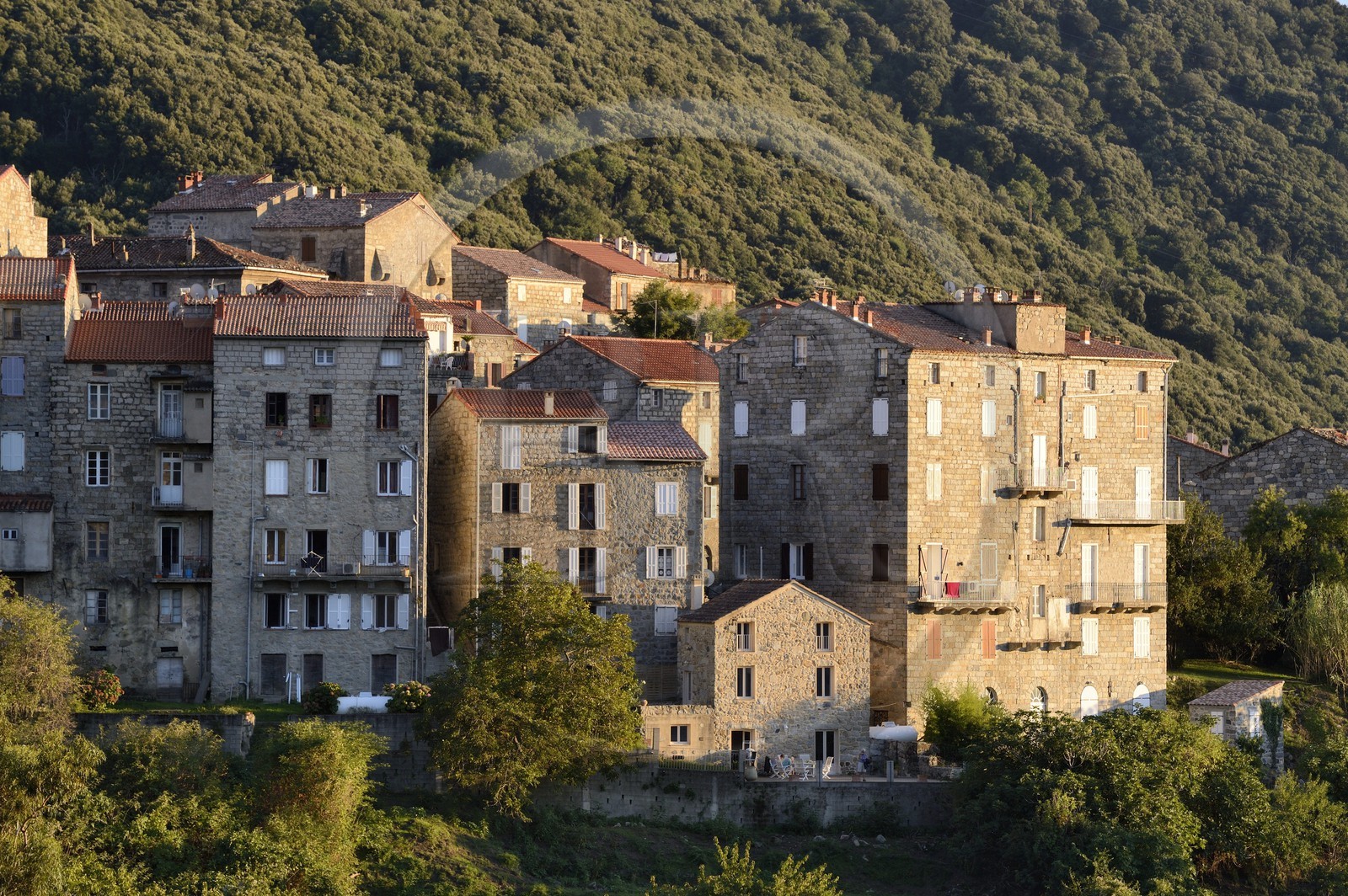 France, Corse-du-Sud (2A), Alta Rocca, Sainte-Lucie-de-Tallano (Santa Lucia di Tallà) France, Corse-du-Sud (2A), Alta Rocca, Sainte-Lucie-de-Tallano (Santa Lucia di Tallà)