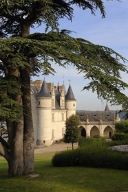 France, Indre et Loire (37), Vallée de la Loire classée Patrimoine mondial de l'UNESCO, château d'Amboise, le logis du Roi
