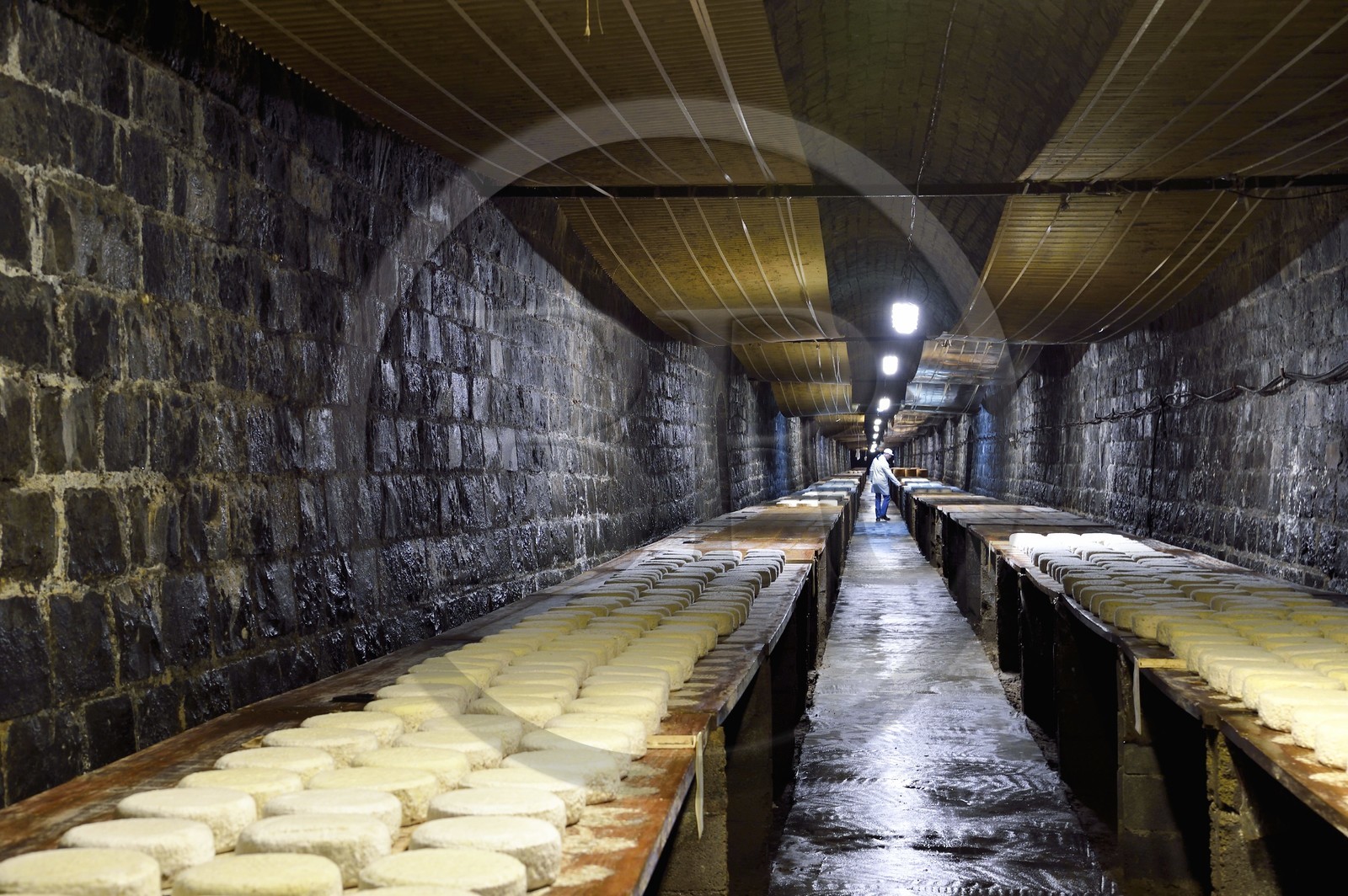 France, Cantal (15), La Chapelle-Laurent, cave d'affinage pour les fromages Marcel Charrade dans l'ancien tunnel ferroviaire de la ligne Saint-Flour - Brioude long d’un kilomètre