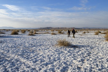Iran, Province d'Ispahan, désert du Dasht-e Kavir, Khur, désert de sel qui émerge de la terre par capilarité après les pluies