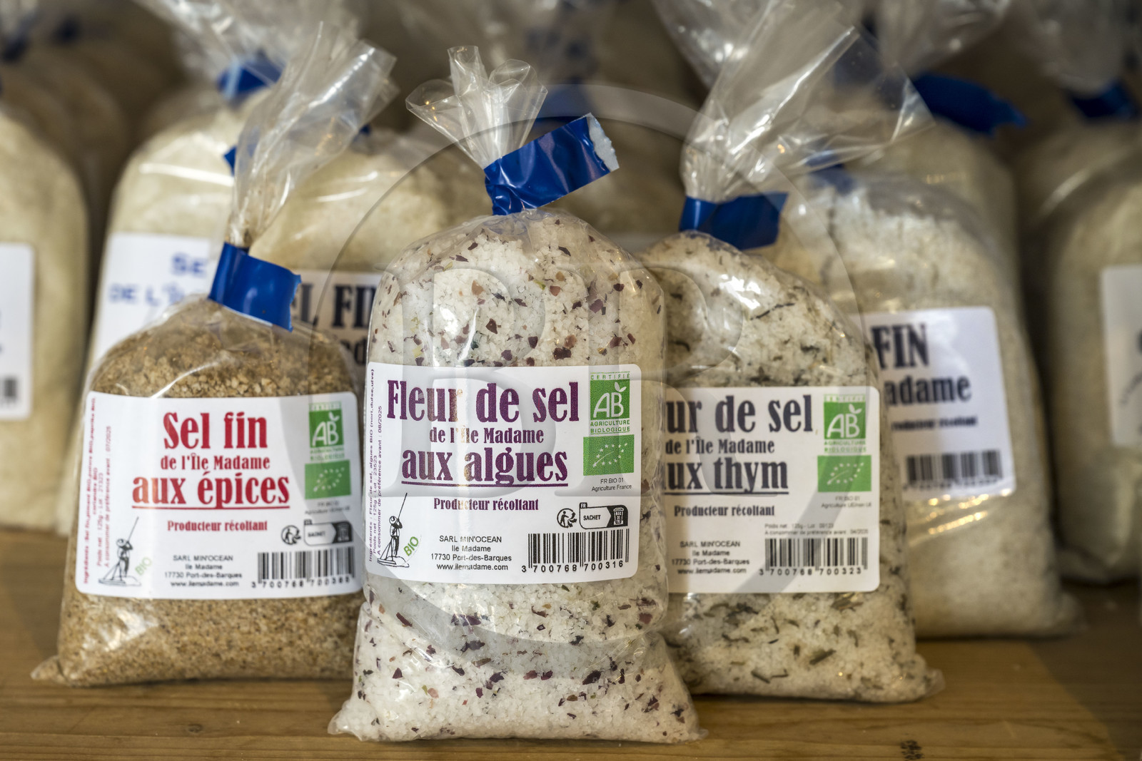 France, Charente-Maritime (17), Port-des-Barques, Ile Madame, la Ferme Aquacole de l'Ile Madame, le sel de leur saline