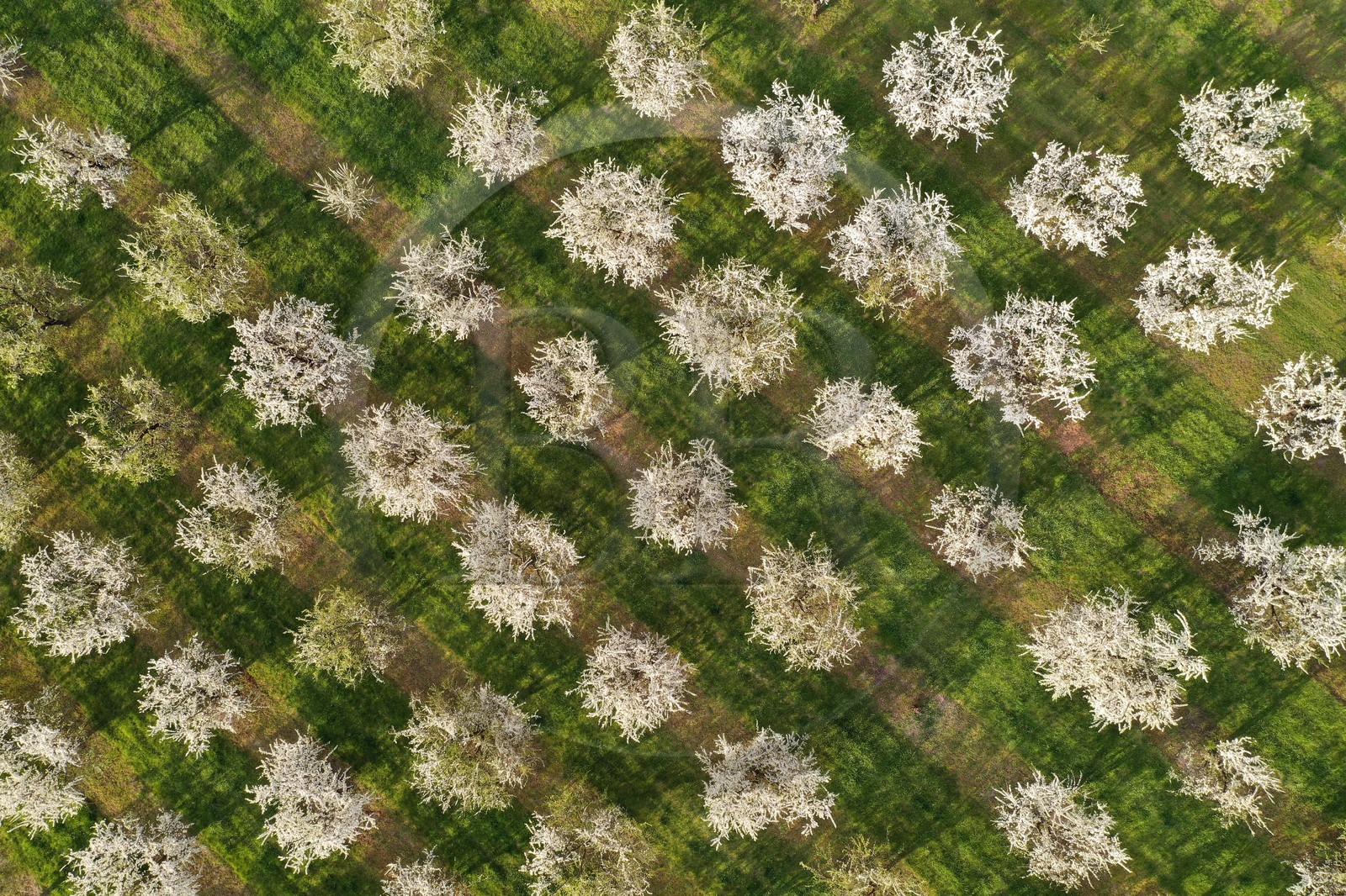 France, Meuse (55), Parc r