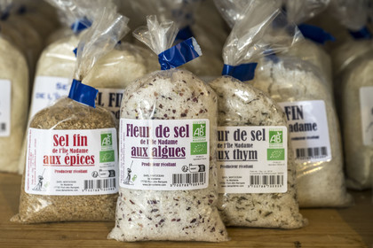 France, Charente Maritime, Port des Barques, Ile Madame, the Ile Madame Aquaculture Farm, the salt of their salt pan