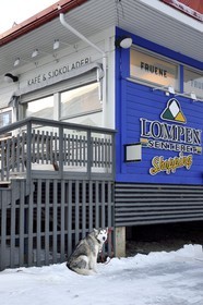 Norway, Svalbard, Spitzbergen, Longyearbyen, dog in front of the Lompensentret mall in main street