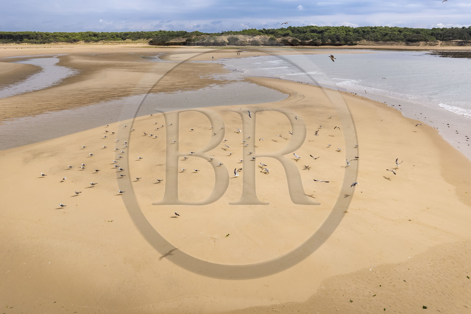 France, Vendée (85), Talmont-Saint-Hilaire, la Pointe du Payré, promeneurs et mouettes sur la plage du Veillon et estuaire de la rivière Payré (vue aérienne)