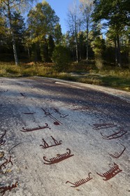 Suède, comté de Bohuslän, Tanum Vitlycke, site classé Patrimoine Mondial de l'UNESCO, gravures rupestres