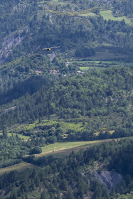 France, Drome, regional natural park of Baronnies provencales, Rémuzat, Saint-Laurent plateau, flight of a griffon vulture (Gyps fulvus) over the Oule valley