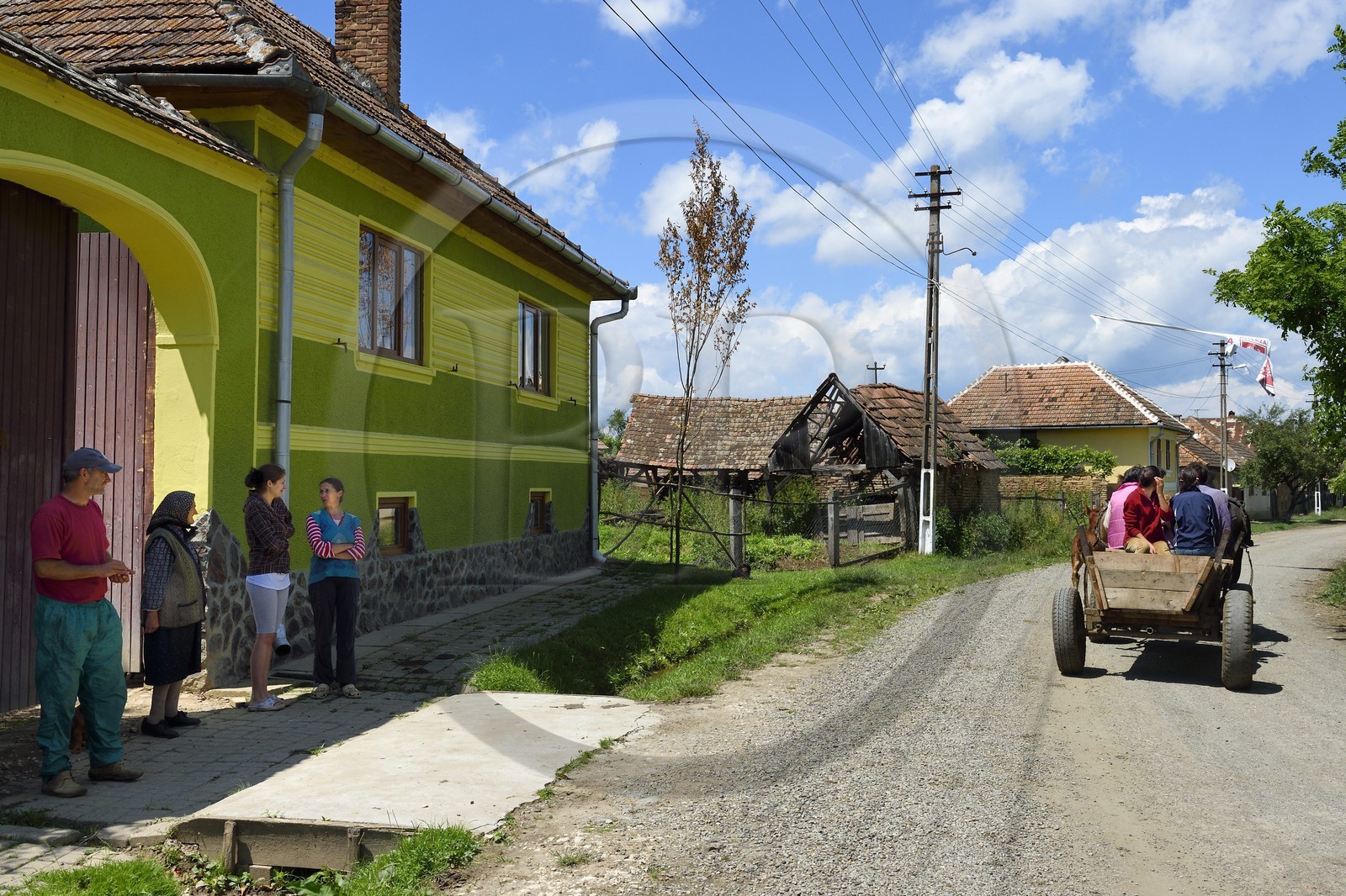 Roumanie, Transylvanie, région de Sighisoara, chariot tracté par un cheval dans le village de Movile