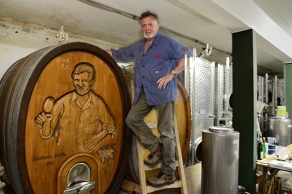 Germany, Baden-Wurttemberg, Durbach vineyard, winery Laible, Andreas Laible
