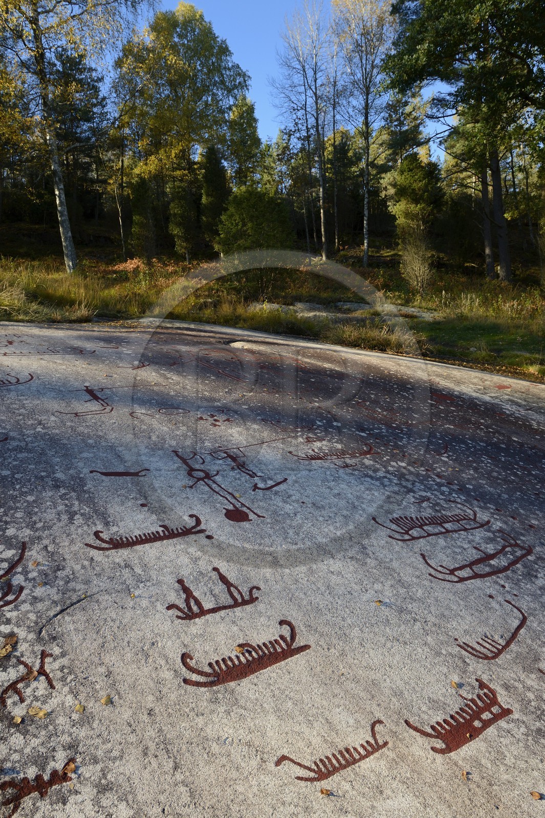 Suède, comté de Bohuslän, Tanum Vitlycke, site classé Patrimoine Mondial de l'UNESCO, gravures rupestres