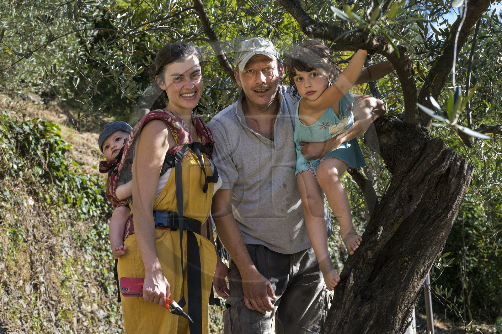 Italie, Ligurie, Cinque Terre, parc national des Cinque Terre classé Patrimoine Mondial de l'UNESCO, village de Monterosso al Mare, Ferme la Brucaolivo, Leonardo et Costanza Lari avec leurs enfants