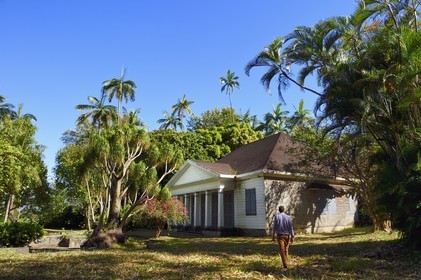 France, Ile de la Reunion, Case historique de la propriété de la famille Isautier dans les hauts de Saint-Pierre, au premier plan à gauche un arbre appelé Pied d'Elephant (Beaucarnea recurvata)