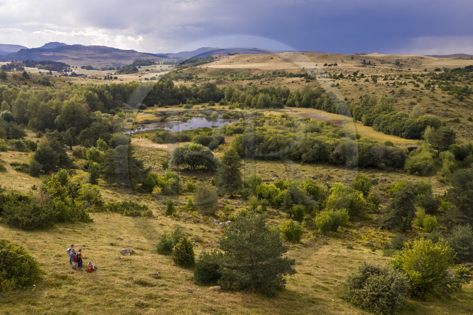 France, Cantal (15), Parc Naturel Régional des Volcans d'Auvergne, plateau de Chastel-sur-Murat, tourbiere de Lapsou, randonneurs sur le chemin de Saint-Jacques de Compostelle par la Via Arverna (vue aérienne)