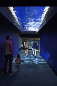 France, Charente-Maritime, La Rochelle, Aquarium La Rochelle, Compulsory Mention, reconstitution of a wave