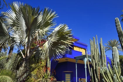 Morocco, High Atlas, Marrakech, Imperial city, Gueliz district, Majorelle Garden founded in 1931 by the French painter Jacques Majorelle in 1980 and bought by Yves Saint Laurent and Pierre Berge