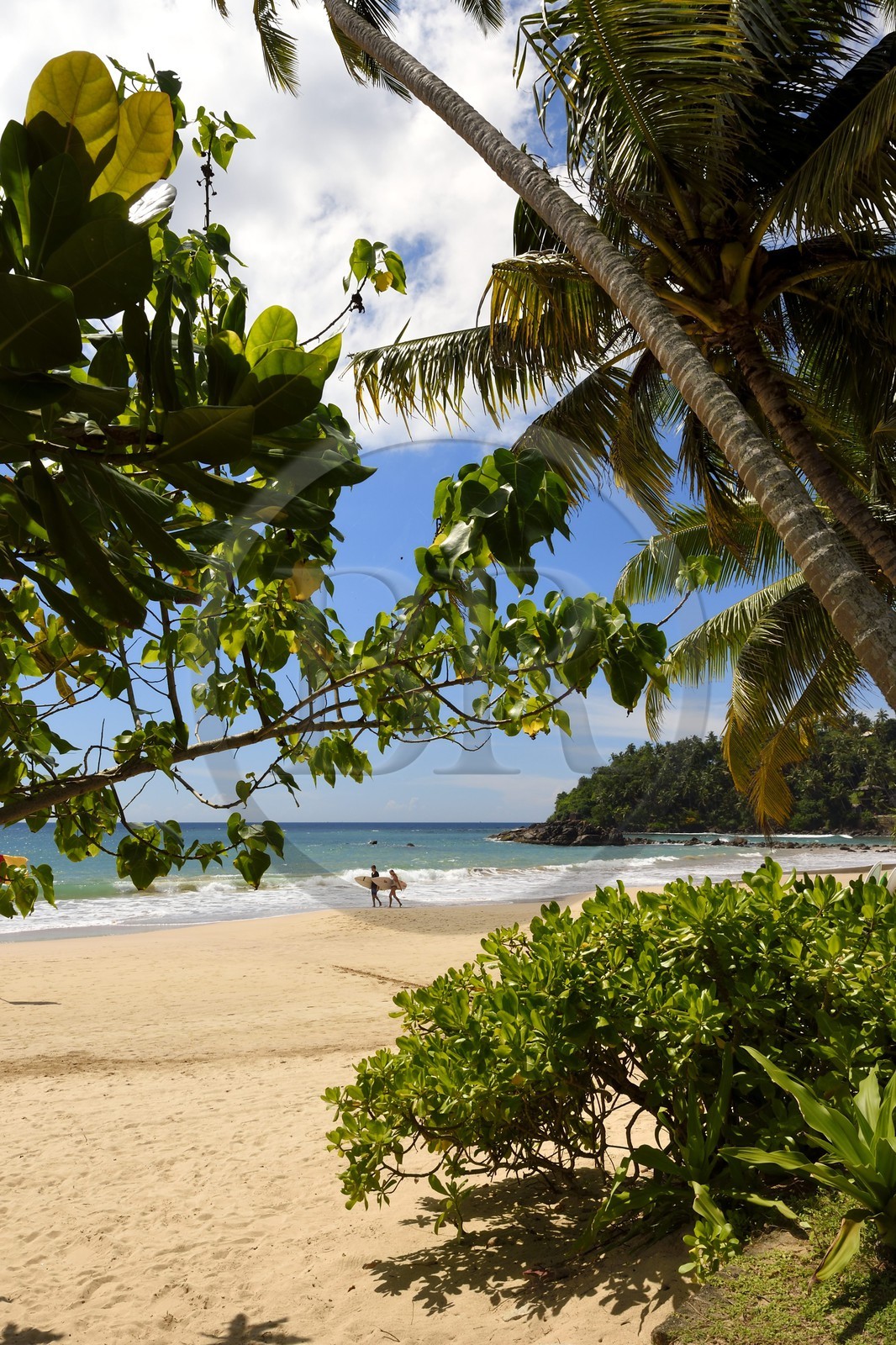 Sri Lanka, Province du Sud, Weligama, plage de Mirissa Sri Lanka, Province du Sud, Weligama, plage de Mirissa