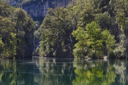 Var (83) rive gauche et Alpes-de-Haute-Provence (04) rive droite, Parc Naturel Régional du Verdon, Basses Gorges du Verdon en aval du lac de Sainte Croix, gorges de Baudinard
