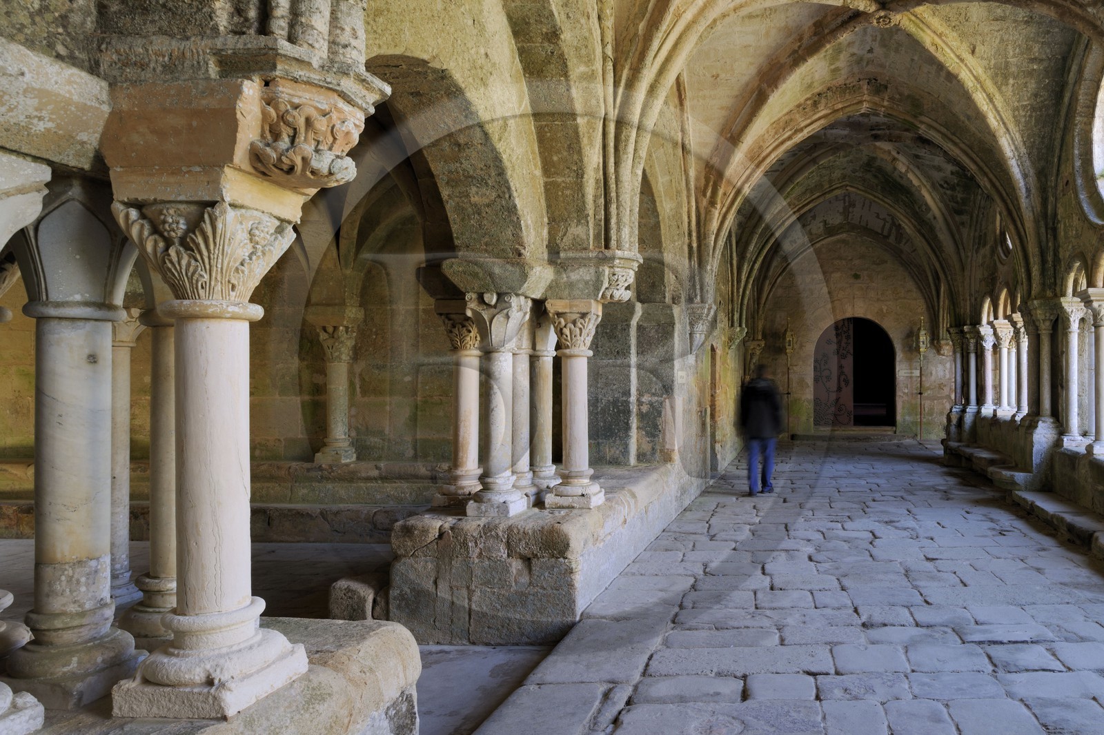 France, Aude (11), abbaye cistercienne de Fontfroide, le cloître et la salle capitulaire