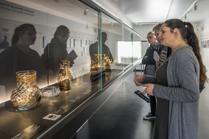 France, Moselle, Meisenthal, Centre international d'Art verrier (CIAV) (international glass centre), the glass museum, vases by Emile Gallé created at the Meisenthal glassworks