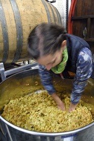 France, Bas-Rhin (67), Route des vins d'Alsace, Nothalten, domaine viticole Philippe Sohler, cuve de fermentation, la viticultrice Lydie Sohler effectue un pigage d'une masseration de cépage blanc de Zellberg