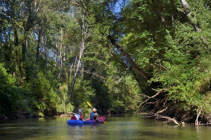 France, Var, Provence Verte, canoeing on the river Argens between Carces and Le Thoronet