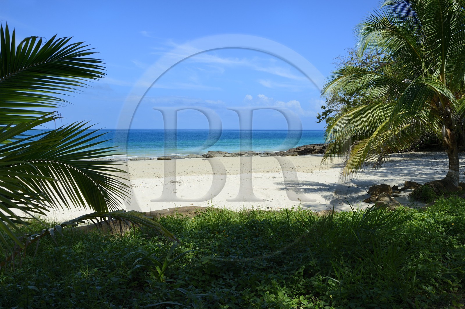 Panama, Pearl Islands, Isla Viveros, white sand beach