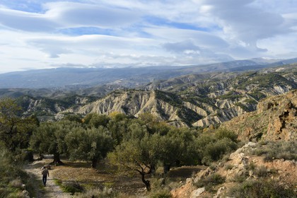 Espagne, Andalousie, Province d'Almeria, Alcolea dans la region des Alpujarras, la Sierra Nevada en arrière plan