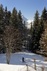 Switzerland, Canton of Vaud, Villars sur Ollon