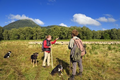 France, Puy-de-Dôme (63), Parc Naturel Régional des Volcans d'Auvergne, Chaine des Puys classée Patrimoine Mondial de l’UNESCO, les deux bergères Ostiane Vuillermoz et Charlotte Hevin gardant un troupeau de brebis Rava au pied du volcan Puy de Dôme