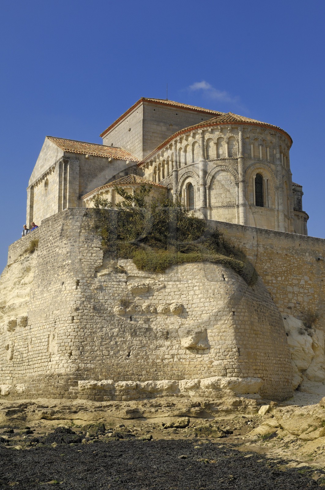 France, Charente-Maritime (17), Talmont-sur-Gironde, labelisé Les plus beaux Village de France, église Sainte-Radegonde