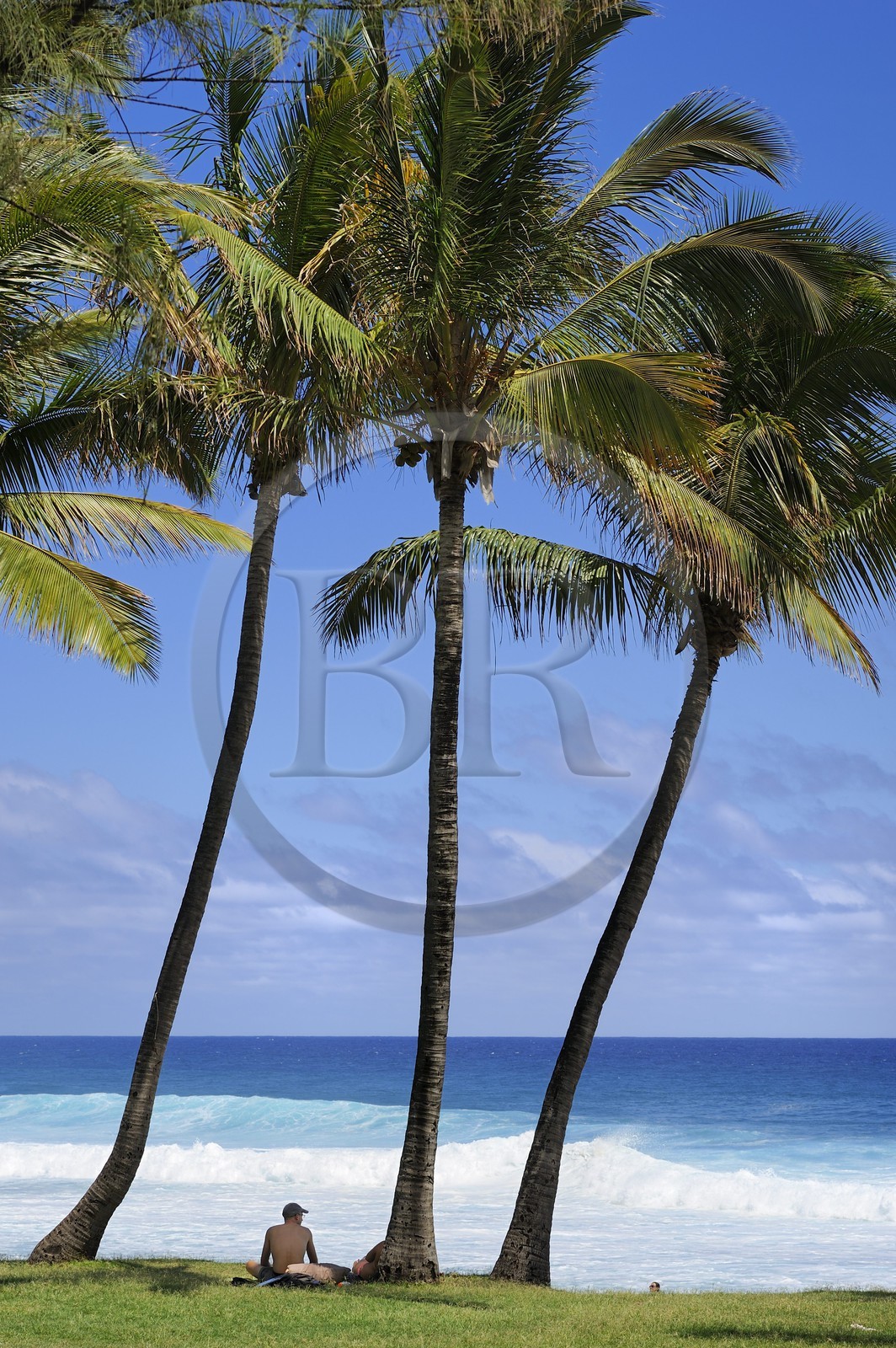 France, île de la Réunion, la côte sud, plage de Grand-Anse