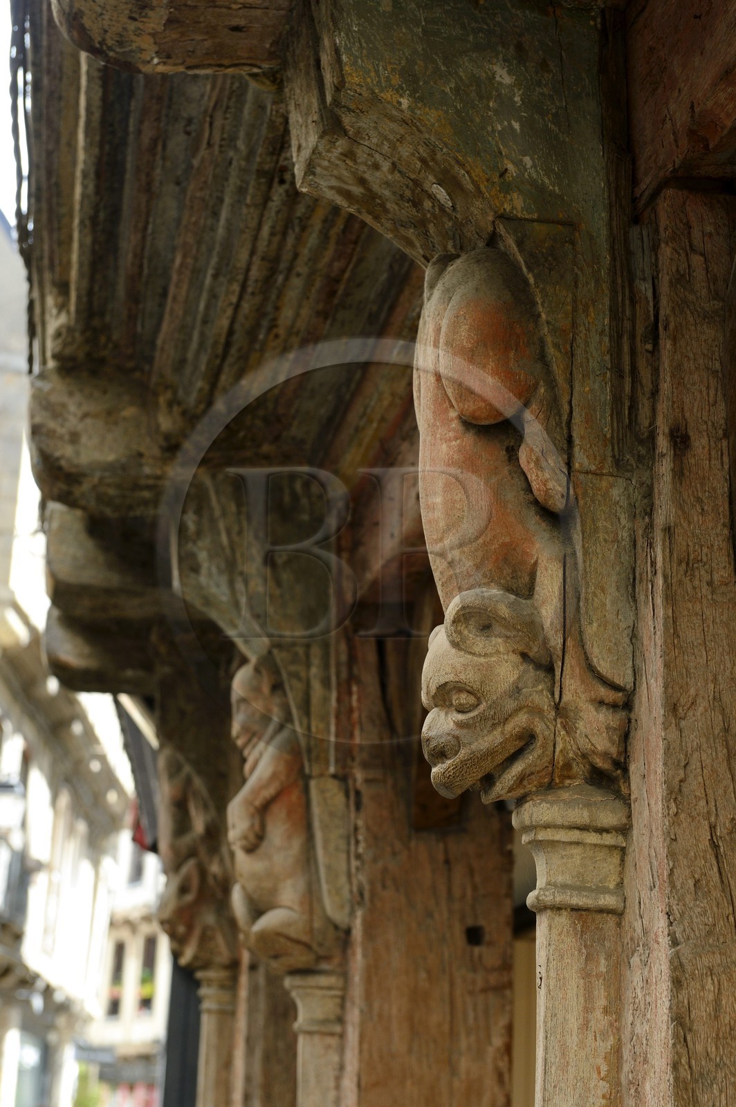France, Morbihan (56), Golfe du Morbihan, Vannes, des animaux fantastiques sculptées en bois ornant la maison à pans de bois Maison aux Lions au 13 rue Saint Salomon