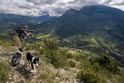 France, Drome, regional natural park of Baronnies provencales, Remuzat, Saint Laurent plateau, Christian Tessier, director of the Vautours en Baronnies association, observing griffon vultures with a telescope above the Oule river valley