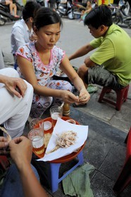 Vietnam, Hanoï, micro brasserie où l'on mange du calamar séché acheté dans la rue et boit de la Bia Hoi la bière pression
