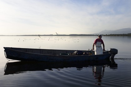 France, Haute Corse, fisherman in a boat on the pond of Biguglia (Stagnu di Chiurlinu), nature reserve of Corsica (RNC)