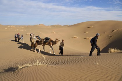 Iran, Isfahan province, Dasht-e Kavir desert, Mesr in Khur and Biabanak County, camel train in the dunes of the place called Kuh-e Sefid in a camel trek