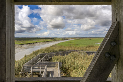 France, Loire-Atlantique (44), Lavau-sur-Loire, collection d'art contemporain à ciel ouvert Estuaire, l’Observatoire réalisé par l'artiste Tadashi Kawamata