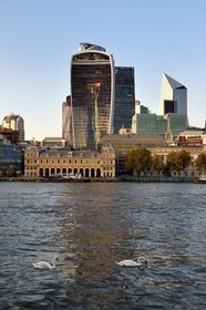 Royaume-Uni, Londres, les rives de la Tamise, la City avec ses gratte-ciel, la tour dénommée le Talkie Walkie conçue par l'architecte Rafael Vinoly