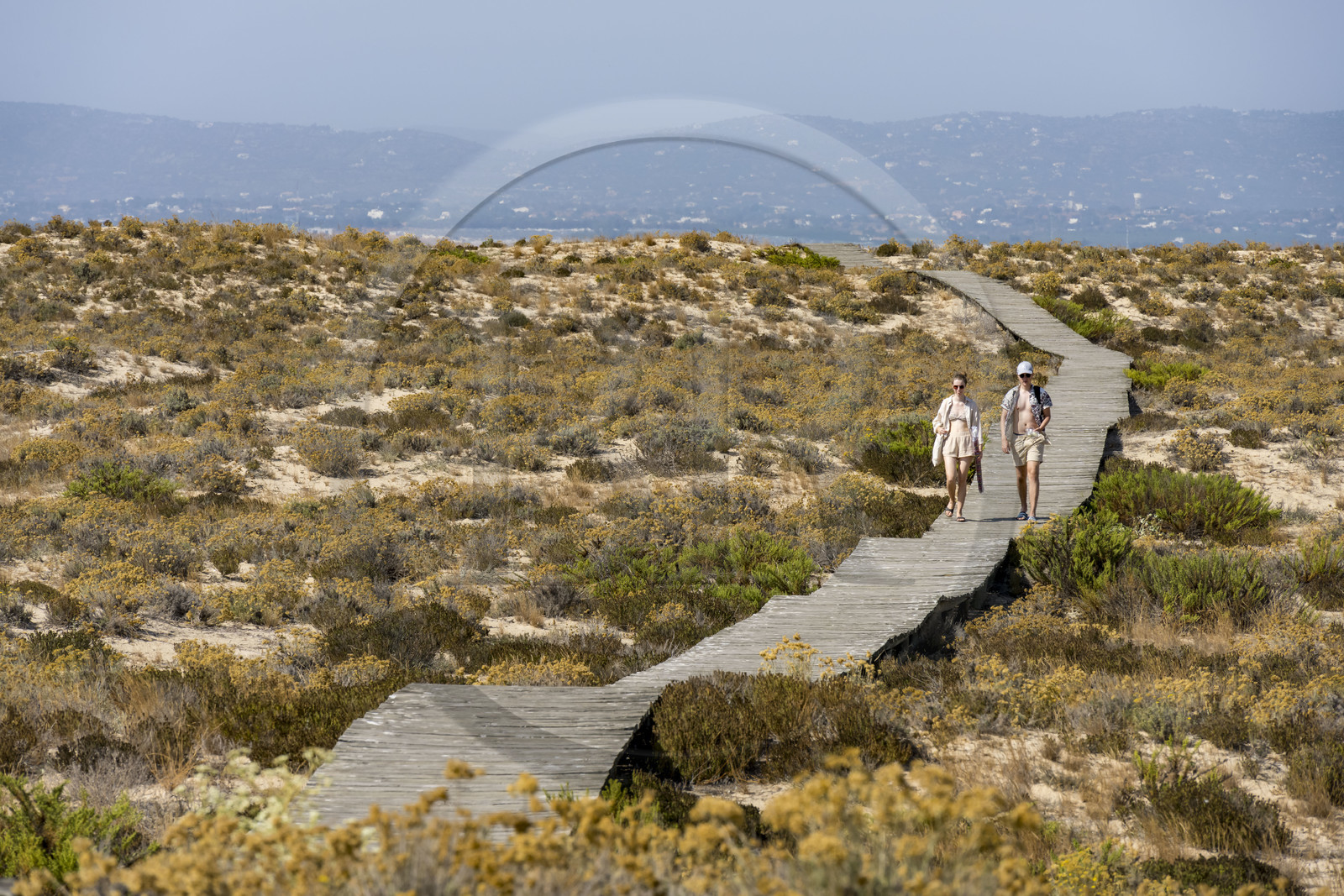 Portugal, Algarve, Parc naturel de la Ria Formosa, Faro, chemin de planches de bois sur l'Ile de Barreta ou Deserta (Ilha da Barretta ou Deserta)