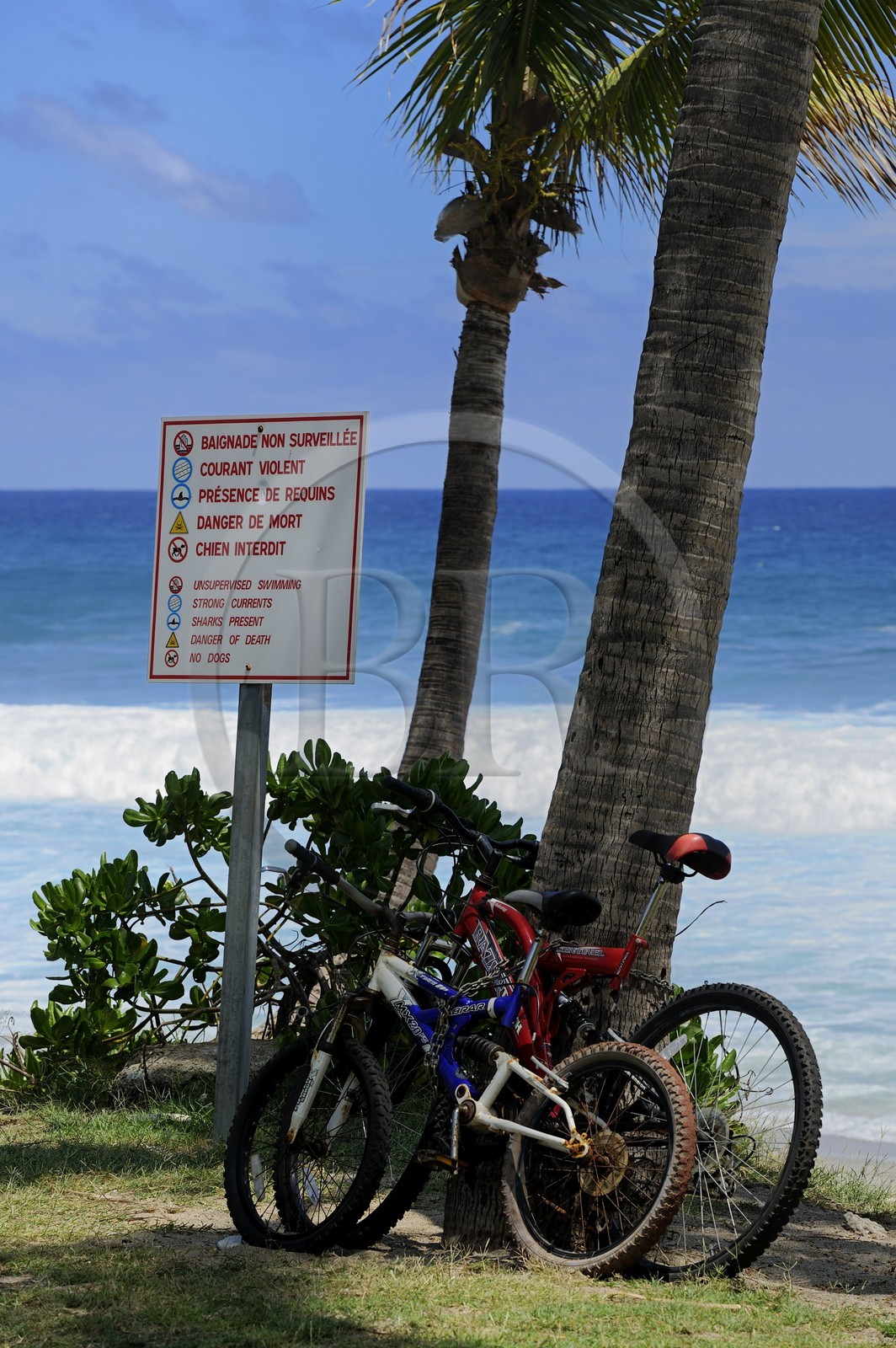 France, Reunion Island (French overseas department), southern coast, Grande Anse beach, sign announcing the potential dangers of swimming