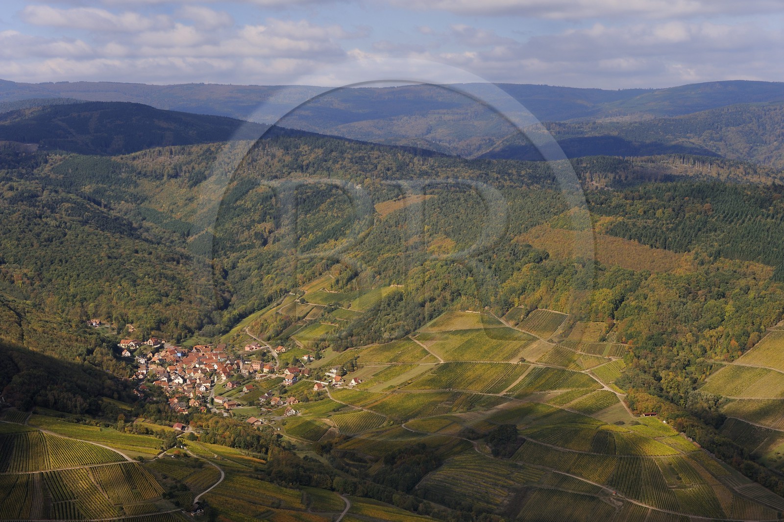 France, Bas-Rhin (67), le village de Reichsfeld et son vignoble dans le massif des Vosges (photo aérienne)