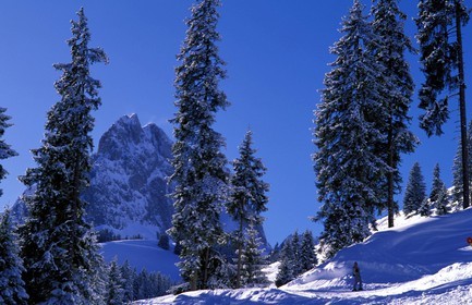 Switzerland, region of Bern (Bernese Oberland), Saanenland, ski run in Gstaad