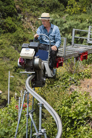 Italie, Ligurie, Cinque Terre, parc national des Cinque Terre classé Patrimoine Mondial de l'UNESCO, village de Vernazza, Bartolomeo Lercari propriétaire exploitant des vins AOC Liguria di Levante Cheo sur son monorail à crémaillère destiné aux vendanges sur ces terres extrêmement pentues