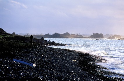 France, Côtes d'Armor, the wild peninsula (Presqu'île Sauvage), stone beach next to Treguier