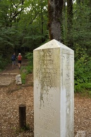 France, Var, Plan d'Aups Sainte Baume, Sainte-Baume Regional Nature Park, Sainte-Baume Massif forest, according to the legendary tradition of the Compagnons du Devoir and the Tour de France, their founder Master Jacques on his return from the construction of the temple of Solomon in 950 BC retired to Sainte-Baume where he would have been assassinated and buried, the passage over the massif is therefore essential in their initiatory journey